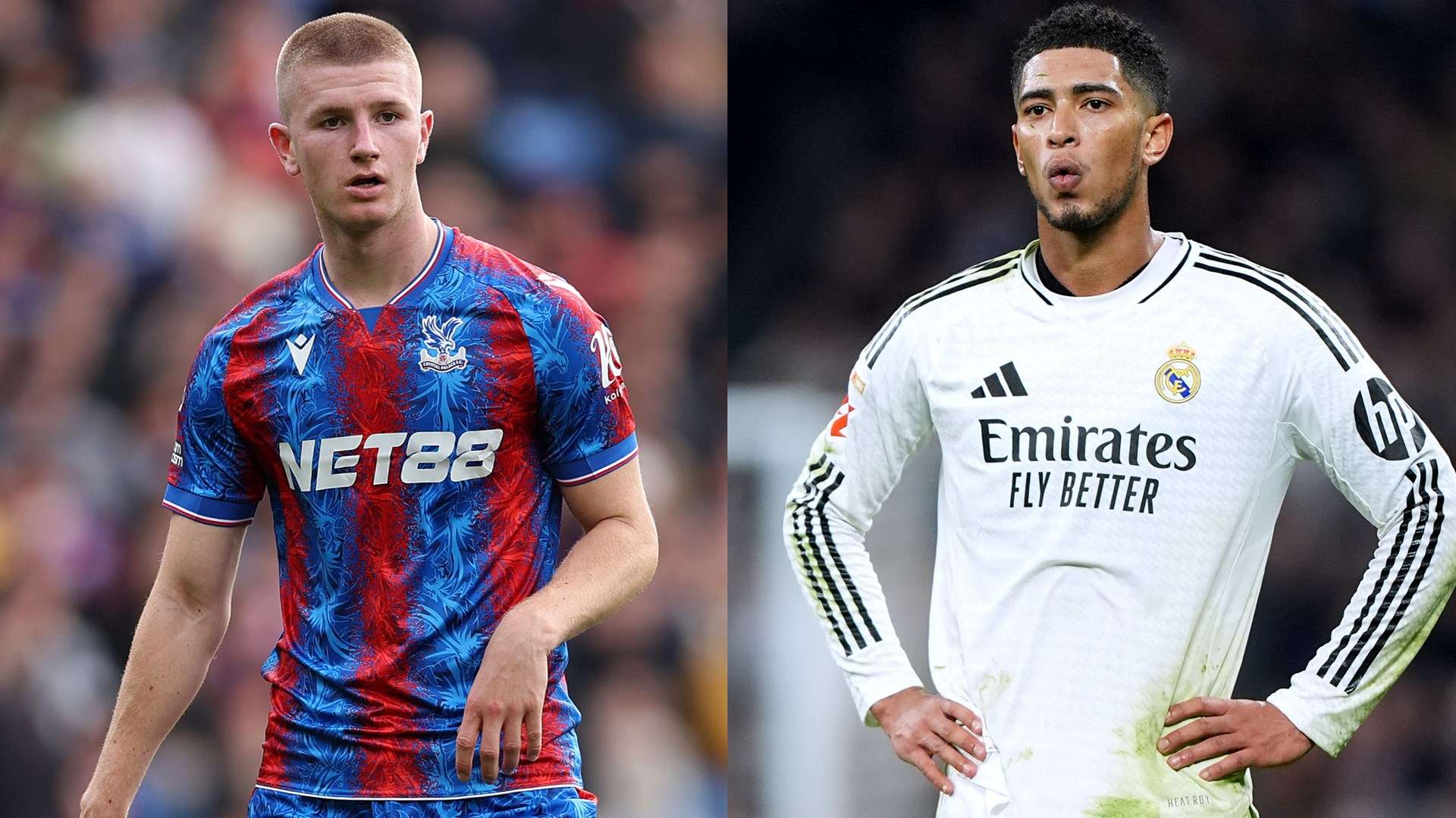 女排成年组 女排成年组