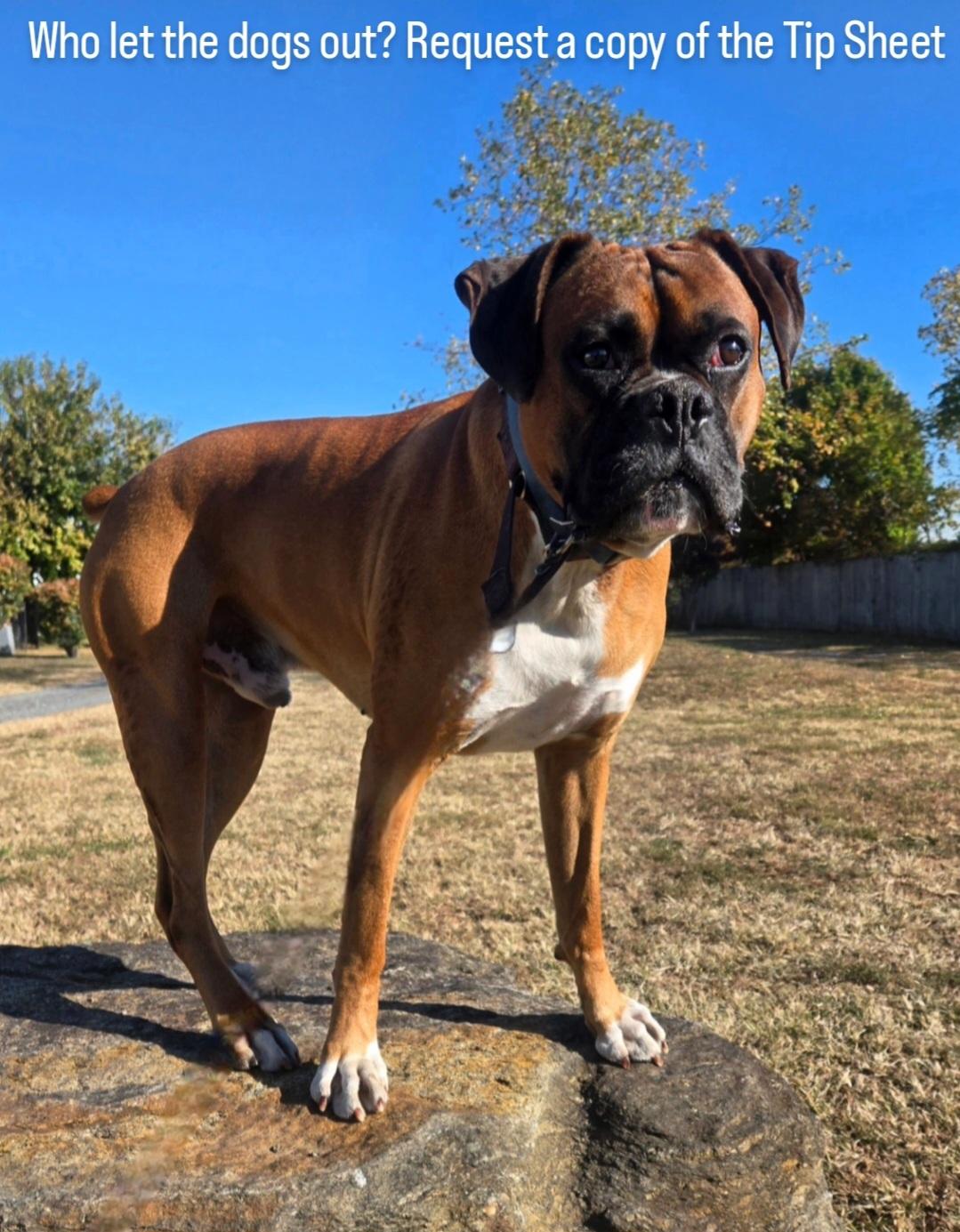 三家俱乐部 三家俱乐部