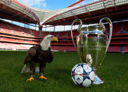 能力的综合 能力的综合